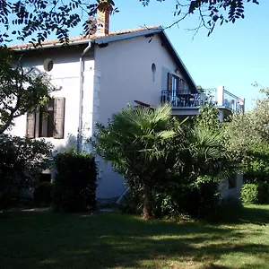 Miri Zambratija (Istria)
